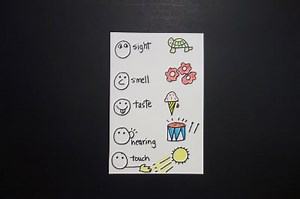 Let's Draw The 5 Senses with 5 Examples!