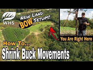 7 New Big Buck Bowhunting Setups