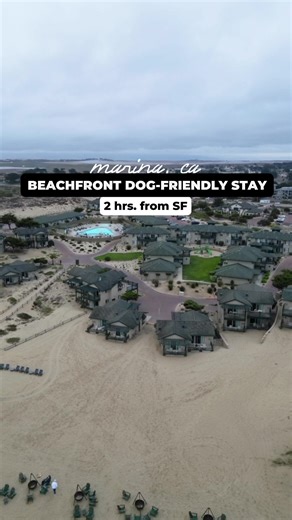 Sanctuary Beach Resort: A Dog-Friendly Getaway
