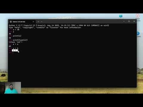 Understanding Variables and User Input in Python