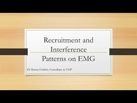 Neurophysiology of how muscles recruit