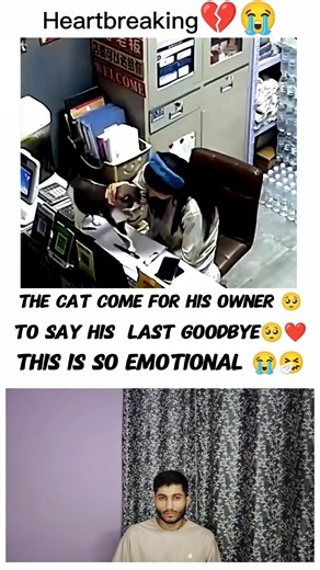❤️‍🩹Try not to Cry😭Sad moment🥺#shorts#sad#pet#respect