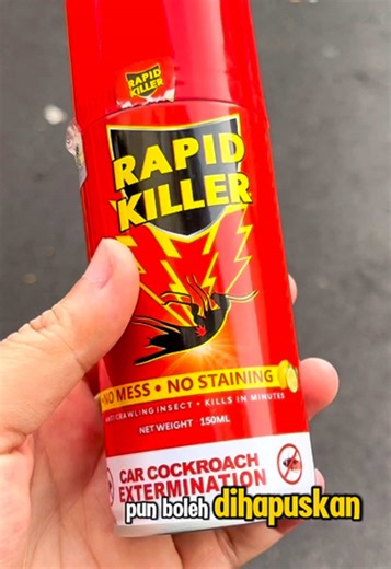 Effective Pest Control: Keeping Your Car Roach-Free