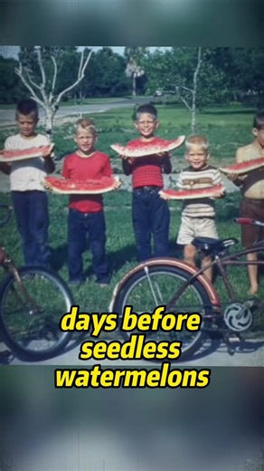 205K views · 6K reactions | How did American kids spend their summers in the 1980s? #nostalgia #childhoodmemories #80s #90s #2000s #usa #genx #kids | Past Archives. | Facebook