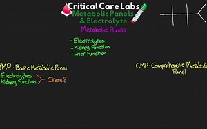 【youtube搬运】Metabolic Panels and Electrolytes - BMP vs CMP - Critical Care Labs