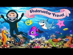 Under the Sea Adventure| ocean animals| kids song| preschool learning video|animals song