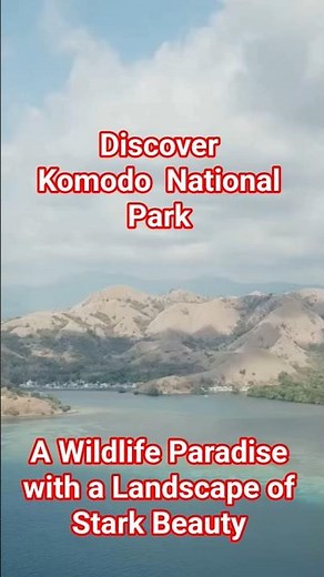 Discovering Komodo National Park, Indonesia: A UNESCO World Heritage Site