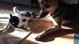 966K views · 5.2K shares | Which list are you on? | Try Not to Laugh | Facebook