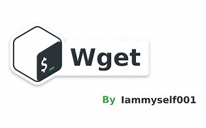 Wget toturial
