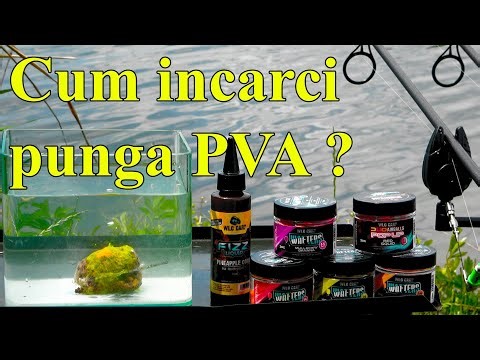 Pescuit la crap Cum incarci punga PVA