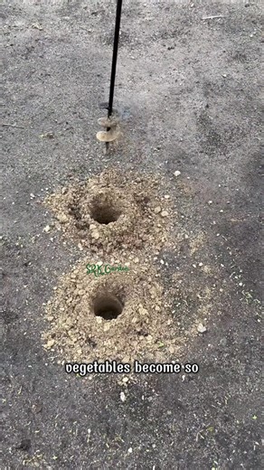 Auger Drill Bit for Planting - Who was the genius who invented this | Amber Lynn Sysel-Lodge