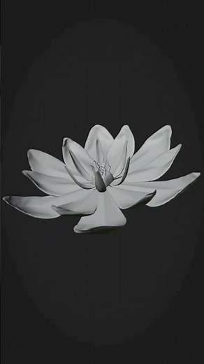 3d flower model process created with #blender3d #3dmodeling