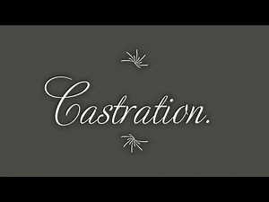Castration. Closed method castration.
