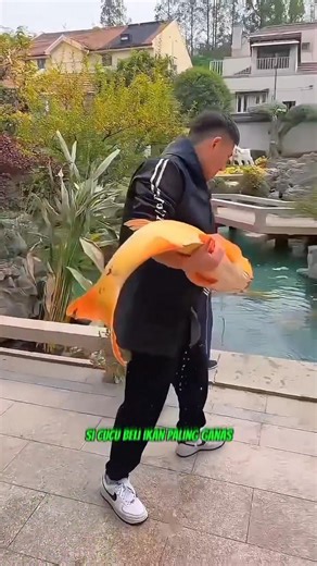 kakek tua membeli ikan paling ganas