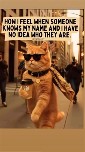 When someone says ‘Hey!!’ and my brain starts loading… still loading… nope, nothing. #MattTheCat #RelatableMemes #MattSociety | Matt Society