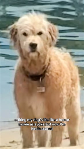 9GAG: Go Fun The World | I KNOW WHAT YOU DID 📹ybbatreece(Tiktok) - #horror #9gag | Instagram