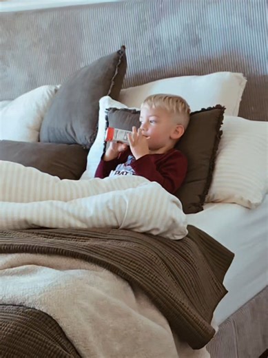 Bird (@_the.bird.house_)’s videos with original sound - Audrey