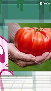 #kirby #kirbymusic #nintendoswitch2 #nintendo #contentcreator #memes #nintendoswitch #kirbydance