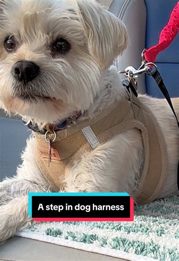 This Voyager dog harness is a safer more controlled way to walk your dog instead of just clipping the leash to your dog’s collar. #dogharness #Inverted @Voyager Harness