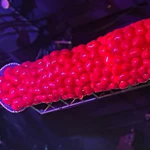 PMU Balloon Drop Net for Ceiling Release - Drop EZ 1000- Professional Balloon Release System for Birthday Party, Graduation, Baby Shower, New Years Eve