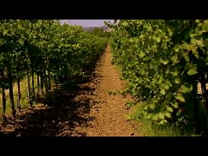 LIKE if you can't wait to see SOMM - In Theaters and Available on iTunes June 21st! | SOMM Films