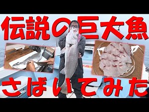 伝説の巨大魚 オオニベをさばく！