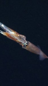 6.9K views · 280 reactions | This summer we’ll be bringing you more...