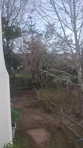 Please search for Frog Mountain Getaway for more info, they are in Swellendam/Suurbrak | Kingdom Foundation Investors