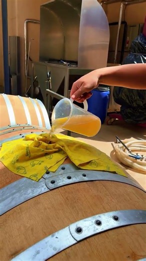 Filling up the barrels.@pagodelosabuelos #winecellar #barrelroom #winebarrel #fillingup #wine #work