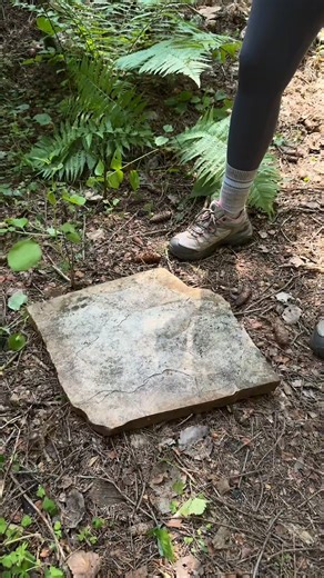 How to Make a Forest Table from Sticks and a Rock in 3 Minutes Fast, sturdy, and super handy — here’s how to build a simple table in the woods using natural materials and just a bit of help from your gear. You’ll need 🌿 3 (or 4) sho~ | Marusya Outdoors