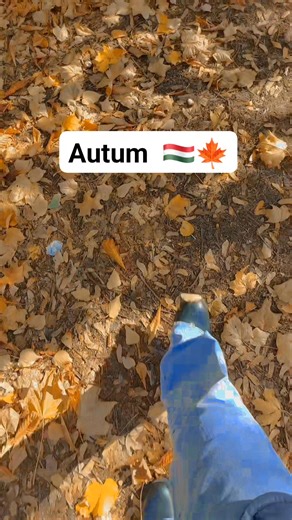 Work abroad, maybe this is for you.😍😍😍 Apply now Agency : Peridot International Resources Inc. Bound for HUNGARY EUROPE 🇭🇺✈️🇪🇺 Disclaimer I'm not agent or related to any agency⛔️ if you are interested please contact or or email directly to the agency #jobsearch #jobopportunity #jobseekers #OFW #jobsearch #cleanerinhungary | Maria Shiela Servanez