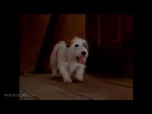 Honey, I Shrunk the Kids - Chérie, J'ai Rétréci les Gosses - 1989