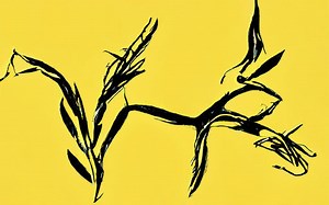 What is SAN advantages and disadvantages? [2025] | QAQooking.wiki