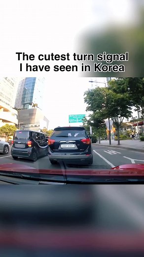 Adorable Korean Traffic Sign Highlighted in Video