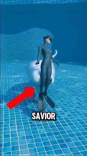 These Wild Animals Saved Humans… and the Last One Will Melt Your Heart 🦁🐋🦫