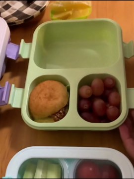 Amazon.com: JXMXRPV Bento Box, Lunch Box with Lids, 3-Compartment Meal Prep Containers Reusable, Leakproof & Stackable, Food Storage Containers for Office, Travel (Purple & blue) 2pcs: Home & Kitchen