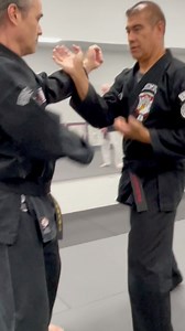 65K views · 1.2K reactions | About last night #edparkersrkenpokarate #trainingdrills #martialarts | Larry Kongaika Kenpo Ikka | Facebook