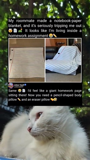 Roommate Made Notebook Paper Blanket, Such A Funny Idea