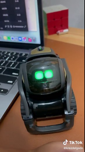 Meet Victor: Your Mini Robot Friend