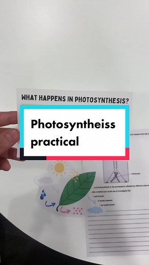 Understanding Amylase: A Key Molecule in Biology