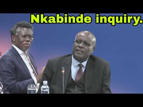 Nkabinde Inquiry: Adv. Nicole Mayet SC leads the cross-examination Adv. Andrew Chauke