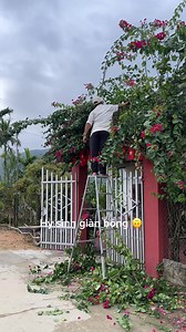 Chuẩn bị cho đám cưới con gái thật đặc biệt