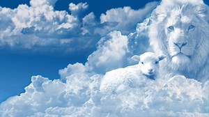 Sky, Clouds, Atmosphere. Free Stock Video