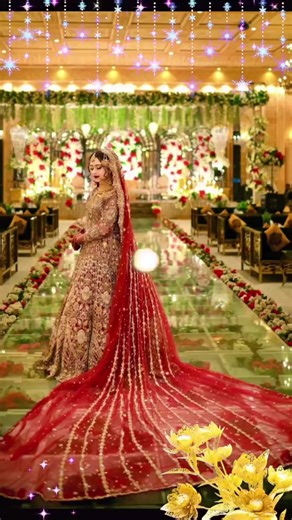Exploring Pakistani Models on TikTok: Beauty Trends and Bridal Fashion
