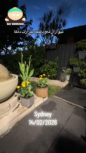 Exploring the Voices of Hawler, Slemani, Dhok, Karkuk, and Hallabja