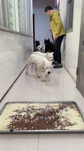 វីដេអូ​របស់ 2002 (@leevea_2002) ជាមួយ original sound - 2002