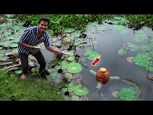 Fish Trap | தண்ணி கேன் வெச்சி விரால் மீன் வேட்டை | Working 💯| Simple fish trap making | MmK