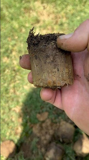 Renovating your Lawn? Don’t use Peat Moss #lawncare