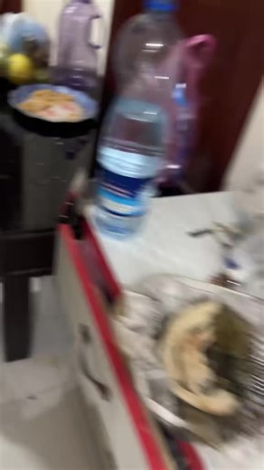 Memorable Moments: A Day to Remember