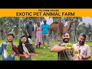 Exotic Pet Animals Farm House ஒட்டகம் | கழுதை Python | Exotic Birds